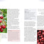 Superfoods: The Healthiest Foods on the Planet