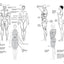 Framed Perspective Vol. 2: Technical Drawing for Shadows, Volume, and Characters