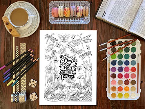Color The Psalms: Inspired To Grace: Christian Coloring Books