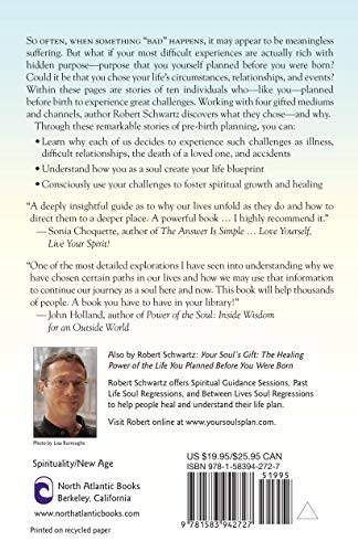 Your Soul's Plan: Discovering the Real Meaning of the Life You Planned Before You Were Born