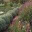 Gardening for Pleasure: A Practical Guide to the Essential Skills