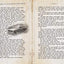 Scary Stories to Tell in the Dark: The Haunted Notebook of Sarah Bellows