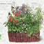 The Cook's Herb Garden: Grow, Harvest, Cook