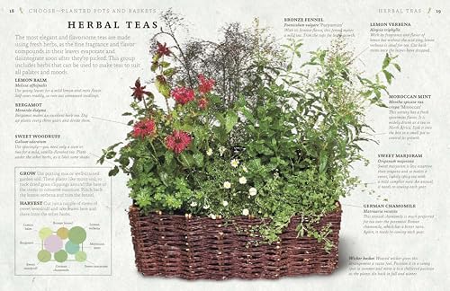 The Cook's Herb Garden: Grow, Harvest, Cook