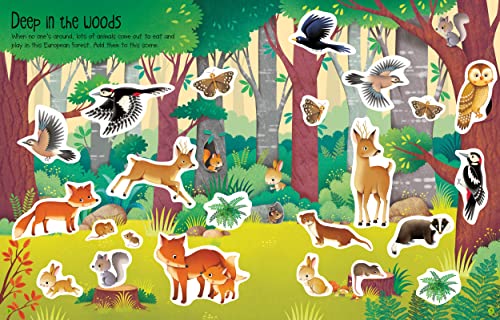 First Sticker Book Nature (First Sticker Books)