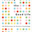 Pursuing the Good Life: 100 Reflections on Positive Psychology