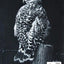 Strokes of Genius 5: Design and Composition (Strokes of Genius: The Best of Drawing, 5)