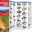 Virginia Birds: A Folding Pocket Guide to Familiar Species (Wildlife and Nature Identification)