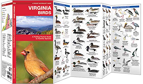 Virginia Birds: A Folding Pocket Guide to Familiar Species (Wildlife and Nature Identification)