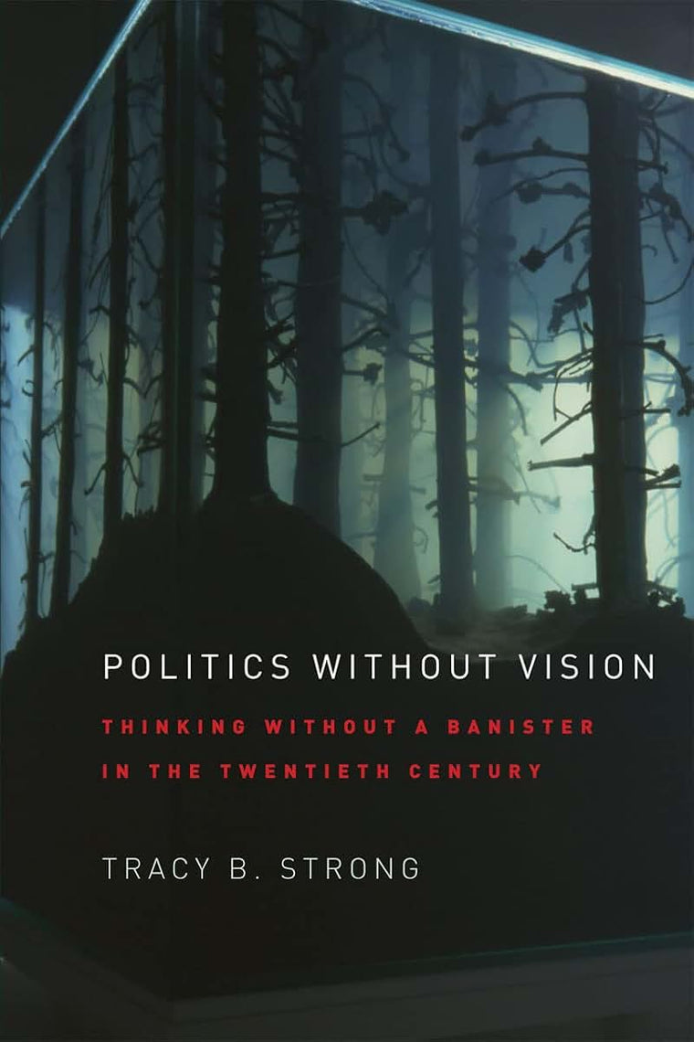 Politics without Vision: Thinking without a Banister in the Twentieth Century