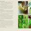 Tu Casa Mi Casa: Mexican Recipes for the Home Cook