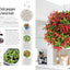 Indoor Edible Garden: Creative Ways to Grow Herbs, Fruits, and Vegetables in Your Home