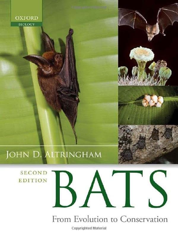 Bats: From Evolution to Conservation