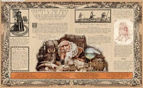 Wizardology: The Book of the Secrets of Merlin (Ologies)