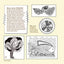 Totally Tangled: Zentangle and Beyond (Design Originals) Art Therapy to Focus Your Mind, Reduce Stress, Relax, and Build Creative Confidence with Over 100 Meditative Tangles, Patterns, and Doodles