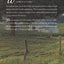 Secrets of Willow Springs - Book 1 (The Amish of Lawrence County)