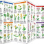 New Jersey Trees & Wildflowers: A Folding Pocket Guide to Familiar Plants (Wildlife and Nature Identification)