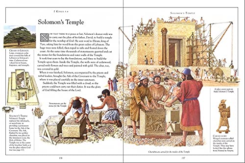 The Children's Illustrated Bible (DK Bibles and Bible Guides)
