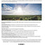 The Real Mediterranean Diet: A practical guide to understanding and achieving the healthiest diet in the world