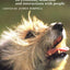 The Domestic Dog: Its Evolution, Behaviour and Interactions with People