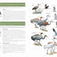 National Geographic Field Guide to the Birds of the United States and Canada, 8th edition