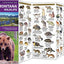 Montana Wildlife: A Folding Pocket Guide to Familiar Animals (Wildlife and Nature Identification)