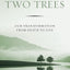 Between Two Trees: Our Transformation from Death to Life