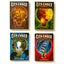 The City of Ember Complete Boxed Set by Miakarts Books