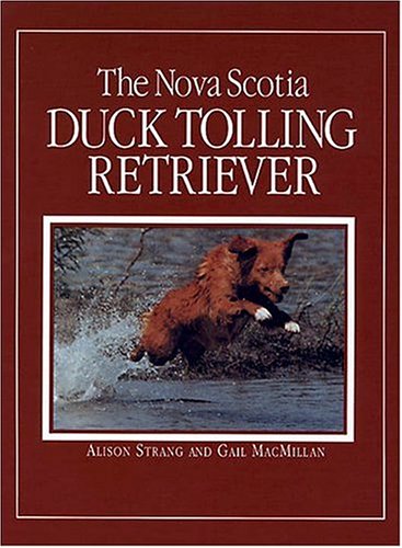 The Nova Scotia Duck Tolling Retriever