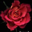 Romeo and Juliet (Teen Classics)