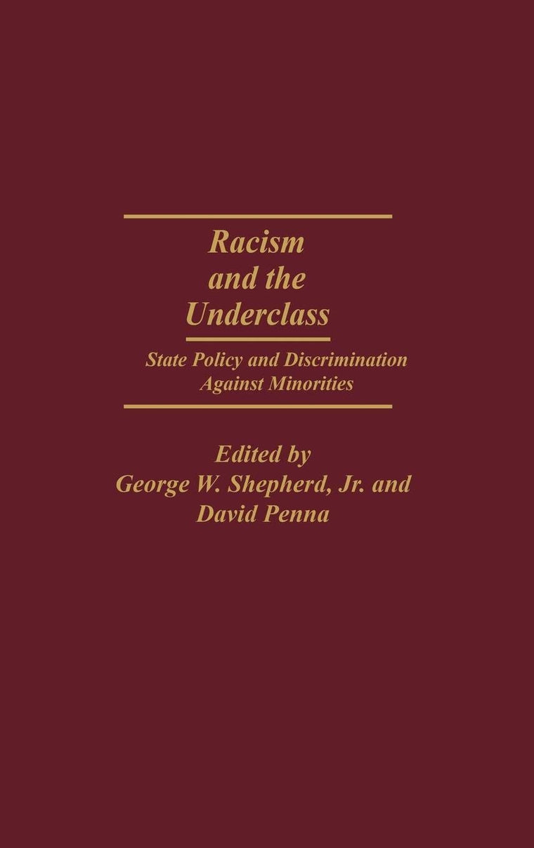 Racism and the Underclass: State Policy and Discrimination Against Minorities (Studies in Human Rights)