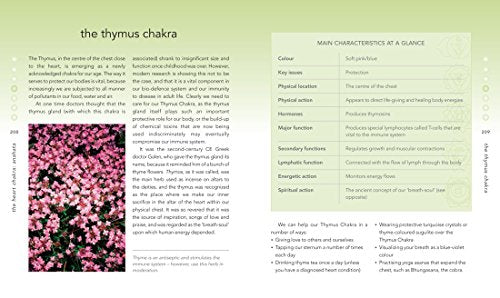 The Chakra Bible: The Definitive Guide to Working with Chakr