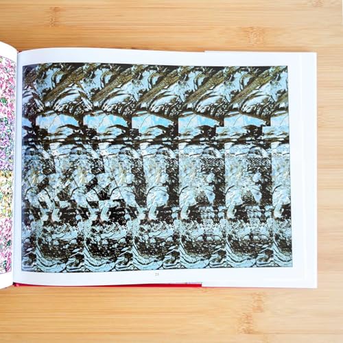 Magic Eye: A New Way of Looking at the World