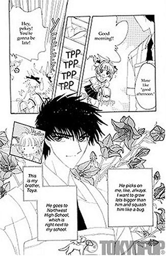 Cardcaptor Sakura: Master of the Clow, Book 6