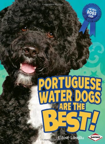 Portuguese Water Dogs Are the Best! (The Best Dogs Ever)