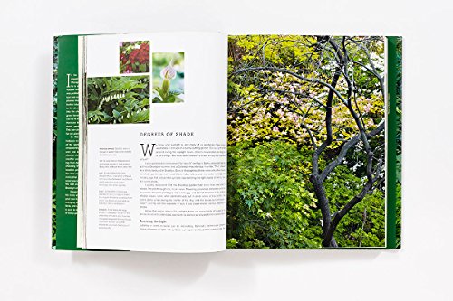 The New Shade Garden: Creating a Lush Oasis in the Age of Climate Change