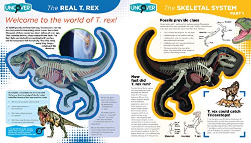 Uncover a T.Rex by Schatz, Dennis