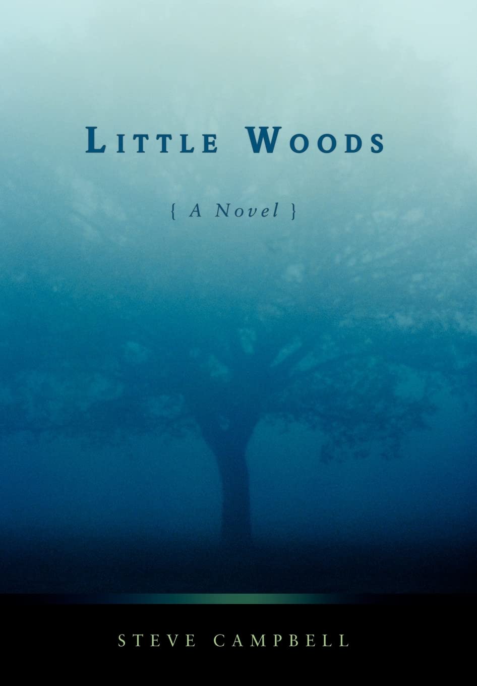 Little Woods
