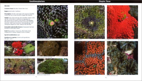 Invertebrates: A Quick Reference Guide (Oceanographic Series)