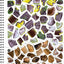 Brain Games - Sticker by Number: All You Need is Cats (27 Images to Sticker)