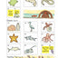 Draw Write Now Book 6: Animals and Habitats: On Land, Ponds and Rivers, Oceans