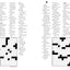 A-to-Gen Z Crosswords: 72 Puzzles That Hit Different