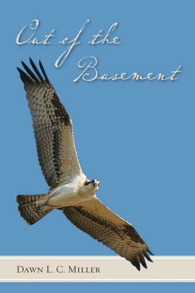 Out of the Basement