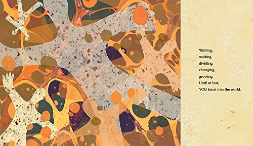 The Stuff of Stars (Wondrous World) by Bauer, Marion Dane