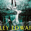 Bayou Born (The Foundling Series)