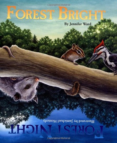 Forest Bright, Forest Night