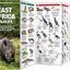 East Africa Wildlife: A Folding Pocket Guide to Familiar Species in Kenya, Tanzania & Uganda (Nature Observation International)