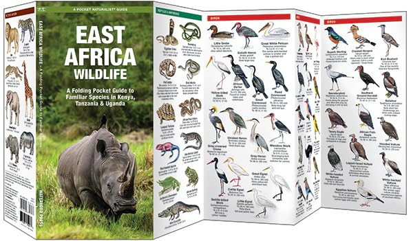 East Africa Wildlife: A Folding Pocket Guide to Familiar Species in Kenya, Tanzania & Uganda (Nature Observation International)