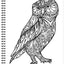 Color Me! - Adult Coloring Book (Skull Cover - Includes a Variety of Images): - Relax - Color - Create
