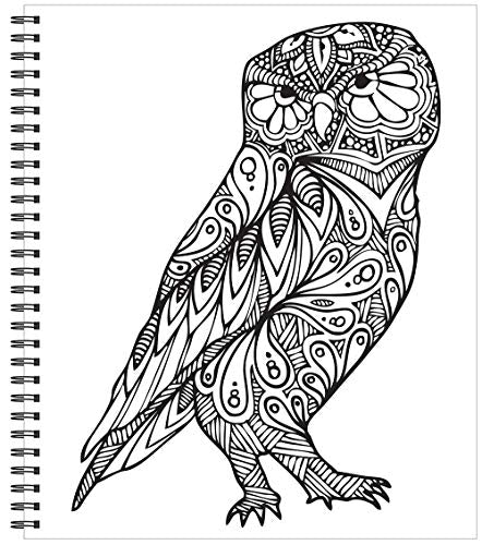 Color Me! - Adult Coloring Book (Skull Cover - Includes a Variety of Images): - Relax - Color - Create
